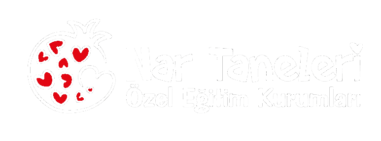 nar taneleri - logo arkaplansız beyaz